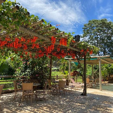 Apartamento Thermas Do Bosque 卡达斯诺瓦斯 外观 照片